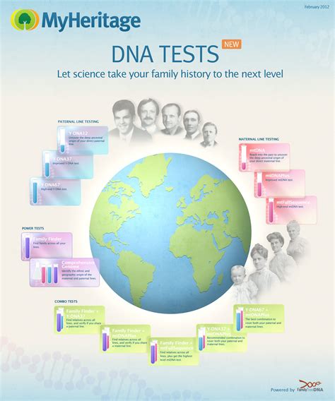 NEW: MyHeritage DNA tests for genealogy! - MyHeritage Blog