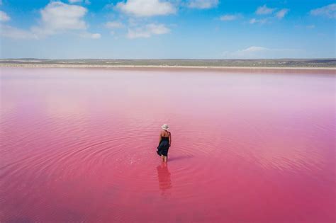 Pink Lake Western Australia - Visitor's Guide (2024)