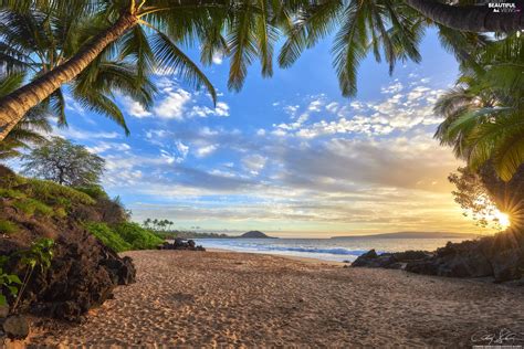 Beaches, Palms, rays of the Sun, sea, Aloha State Hawaje - Beautiful views wallpapers: 2048x1367