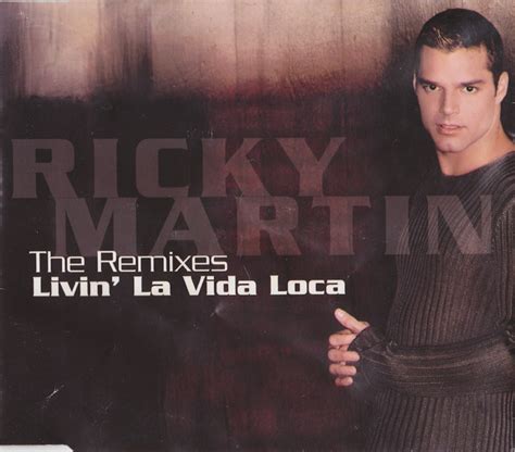 Ricky Martin - Livin La Vida Loca (The Remixes) (1999, CD) | Discogs