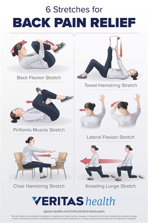 6 Stretches for Back Pain Relief Infographic | Spine-health