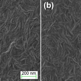 AFM micrographs of LLDPE film surfaces; a height image (200/min), b 3D... | Download Scientific ...