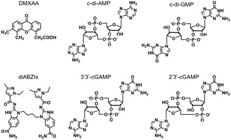 The chemical structures of representative STING agonists. | Download ...