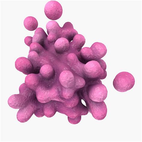 3d model golgi apparatus