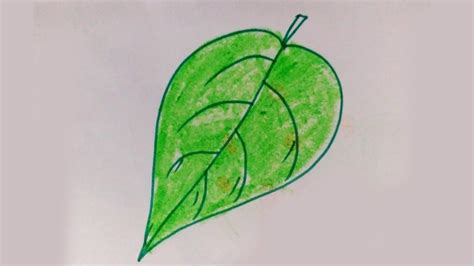 How to Draw a green Leaf | Easy Drawing for kids | kids Drawing video - YouTube