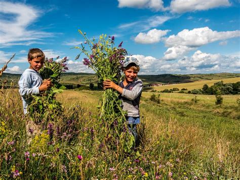 The Countryside of Romania Tour - Visit Communities