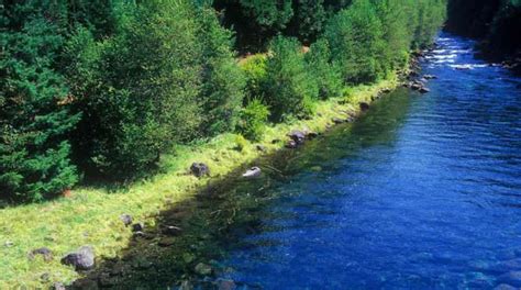 McKenzie River Trail - Travel Oregon