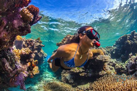 44 Surreal Scenes From Australia's Great Barrier Reef