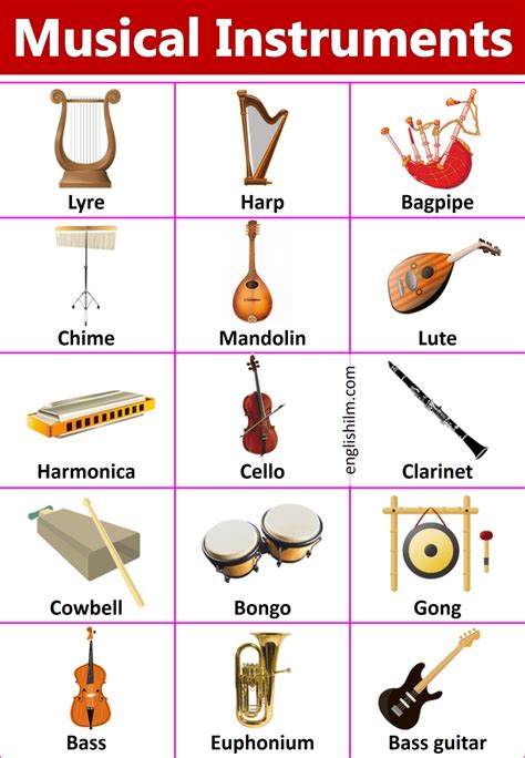 Names of The Musical Instruments with Images | English ilm