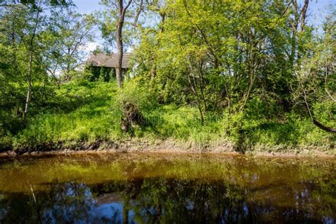 Natural Body of Water. Pond with Reflections Stock Image - Image of ...