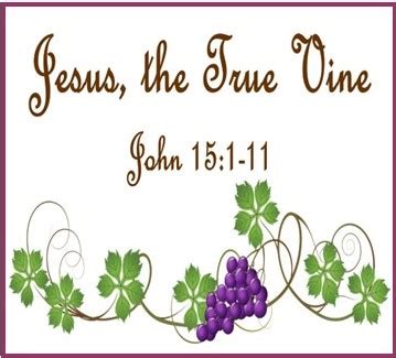 “Jesus, the True Vine”- John 15:1-11 – Kilbourne Park Baptist Church