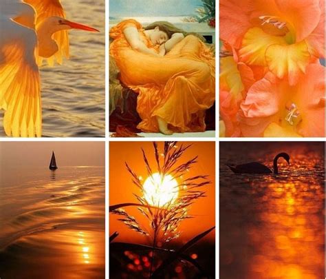 In the mood for...ORANGE. Color Collage, Photo Collage, Collage Art, Collages, Mellow Yellow ...
