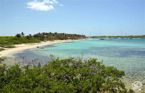 Petite Terre | Plage guadeloupe, Belle plage, Guadeloupe