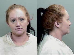 License Plate Reader Alerts Ukiah PD to Stolen Vehicle - Redheaded Blackbelt