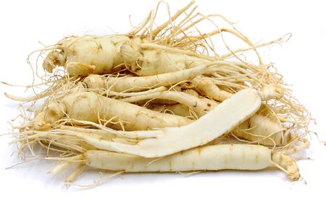 Ginseng Root Information, Recipes and Facts