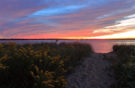 Plum Island Beach Sunset and Goldenrod Photograph by John Burk - Fine ...