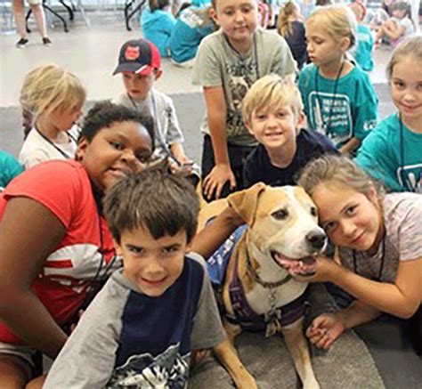 Kids and Animals: Kids Lending a Helping Paw - The Tucson Dog