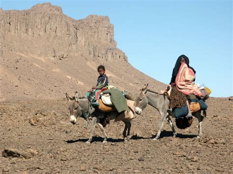 File:Nomad-Tuaregs.jpg - Wikipedia