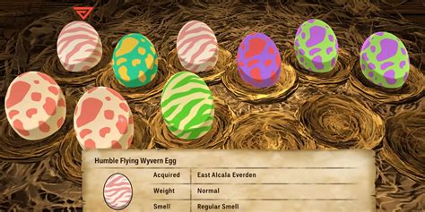 Monster Hunter Stories 2: Egg Colors Guide (and Differences) - Hot ...