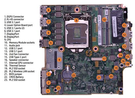 Dell OptiPlex Tower Plus 7010 2023 vs. HP EliteDesk 800 G6 Mini Comparison