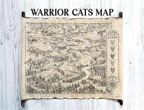 Warrior Cats Thunderclan Camp Map