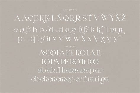 Elegant Serif Font on Behance