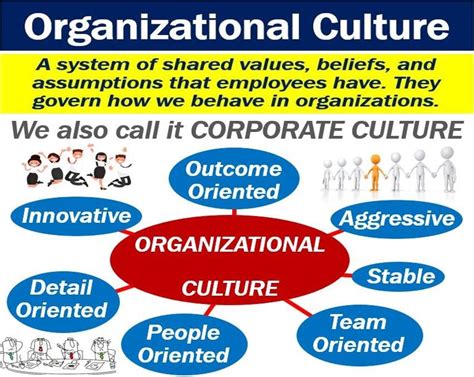 What is organizational culture? Definition and examples