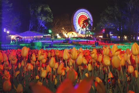 Floriade's NightFest all set to light up Canberra in October