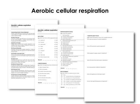 Aerobic cellular respiration | Made By Teachers