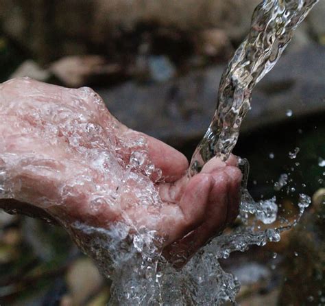 Spring Water Vs. Purified Water: What's The Difference?