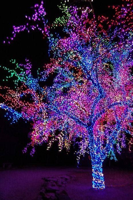 Beautiful Colorful Christmas Tree Pictures, Photos, and Images for Facebook, Tumblr, Pinterest ...