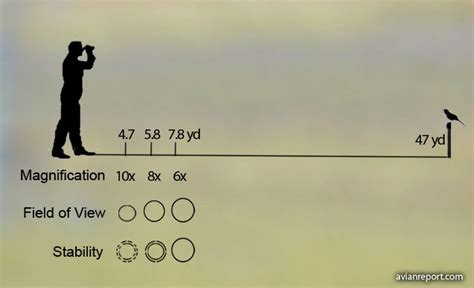 Understanding Magnification Power and Aperture in Binoculars - Avian Report