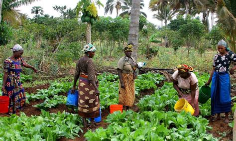 The Role of Women in Agriculture - CARRHURE