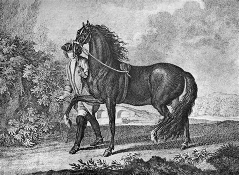 10 Recently Extinct Horse Breeds