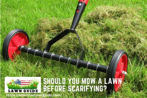 Should You Mow a Lawn Before Scarifying?