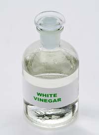 White vs distilled vinegar - Sweet Living Magazine