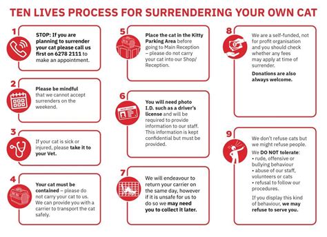 Surrendering Your Cat - Ten Lives