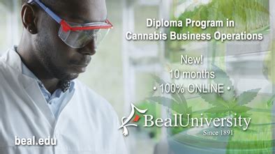 Beal University Launches New Online Cannabis Diploma Program - Beal ...