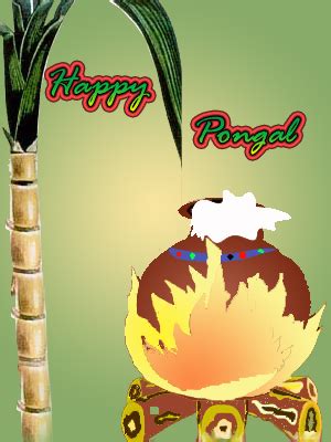 Pongal Cards, Happy Pongal Card, Pongal Greetings Card, Collection Of ...