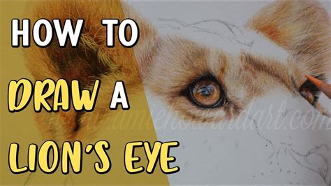 HOW TO DRAW A LION'S EYE | Coloured Pencil Drawing Tutorial | Pencil ...