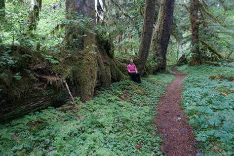 Hiking the Hoh Rainforest