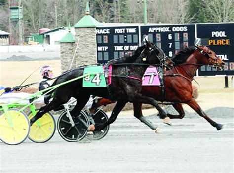 Saratoga Raceway’s 77th Season Brings More Action For Area Fans Of ...