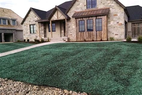 Hydroseeding vs Sod Cost: + Pros & Cons of Both