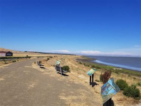 Sears Point Trail at San Pablo Bay National Wildlife Refuge - City of Sonoma