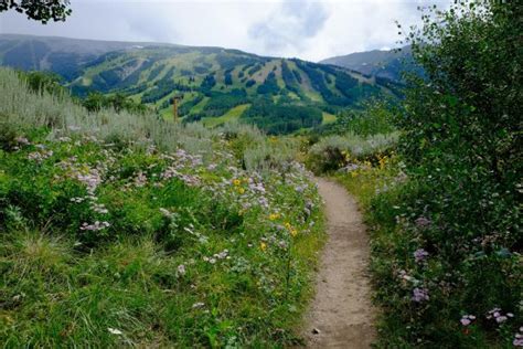 Tom Blake Trail - Snowmass Village Hiking Trails, Snowmass Village ...