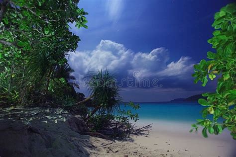 Night on a tropical island stock image. Image of dusk - 58560603