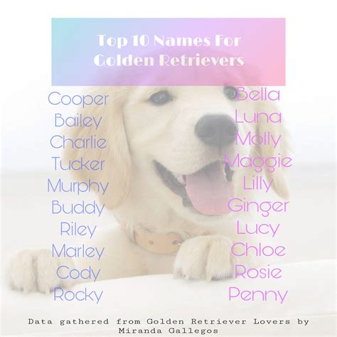 Most popular names | Golden Retriever Dog Forums