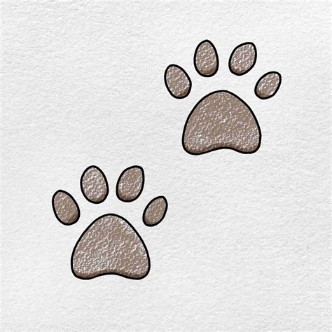 How to Draw a Paw Print - HelloArtsy