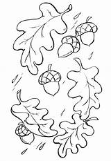 Oak Leaves Coloring Pages Printable Sketch Page sketch template