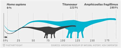 Did the Biggest Dinosaur Ever Really Exist? | HPPR